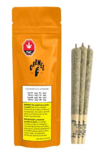 Animal Face Pre-Roll - Animal Face 3 x 0.5G